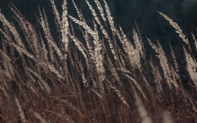 Love Is Not Self-seeking | Love is… – Part 6