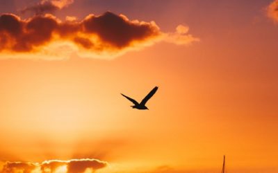 Moving Forward Without Fear