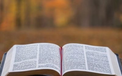 God’s Refugees – Part 1