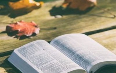 God’s Refugees – Part 3