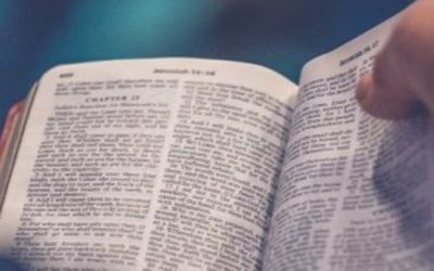 Taking God’s Words Seriously – A Call to Renew a Humble Spirit