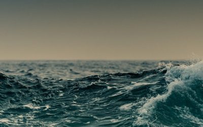 Christian Suffering | Peter – Part 8