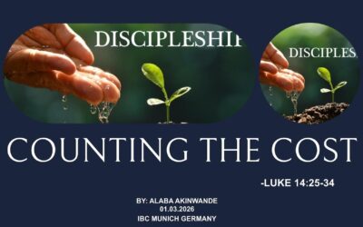 Counting The Cost (Luke 14:25-34)